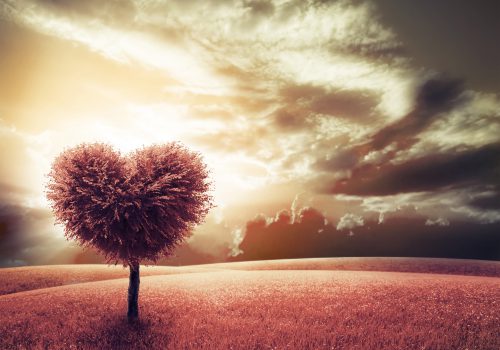 Abstract field with heart shape tree under blue sky. Beauty nature. Valentine concept background