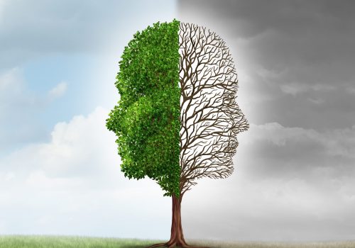 Human emotion and mood disorder as a tree shaped as two human faces with one half empty branches and the opposite side full of leaves in the summer as a medical metaphor for psychological issues pertaining to contrast in feelings.