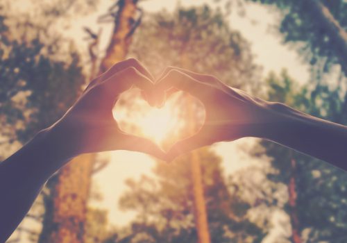 hands in shape of love heart