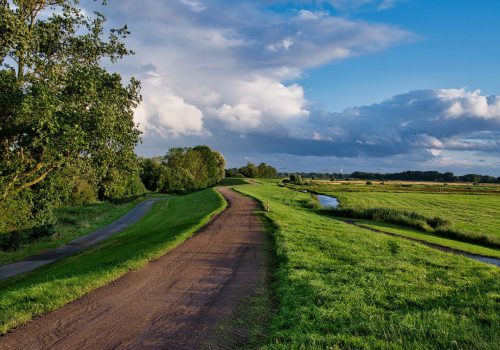 path, grass, dike-6514885.jpg
