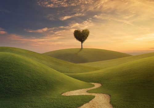 A tree in shape of a heart on a grassy hill